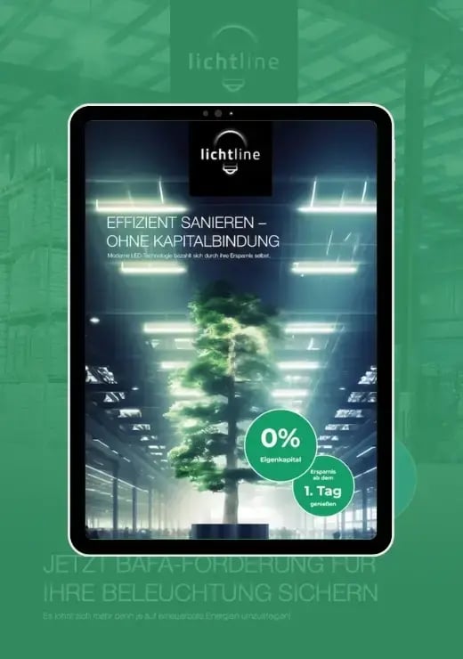 Titelbild der Broschüre über effiziente Sanierung und Finanzierung.