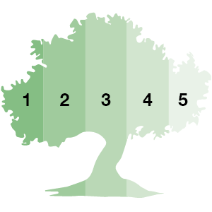 Nachhaltigkeitsbaum